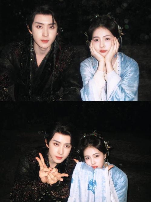 娱乐圈八卦爆料最新白鹿视频,娱乐圈神秘事件再掀波澜  第2张