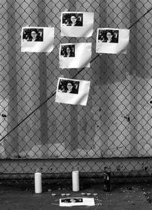 新闻诡异爆料最新视频,新闻诡异爆料背后的惊人真相 第1张 新闻诡异爆料最新视频,新闻诡异爆料背后的惊人真相 第1张